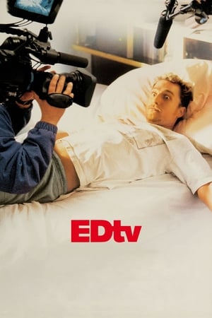 Edtv (1999) Dual Audio | Dubbed Hindi Movie BluRay 350MB