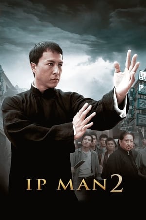 Ip Man 2 (2010) Dual Audio | Dubbed Hindi Movie BluRay [1GB]