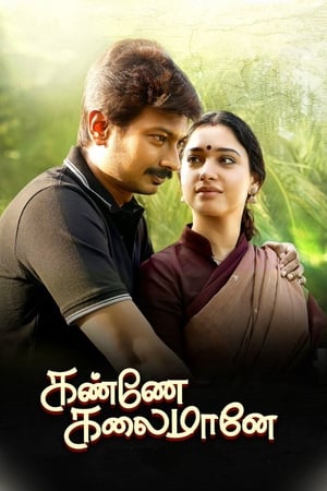 Kanne Kalaimaane 2019 ( -Tamil) Dual Audio | Dubbed Hindi Movie UnCut HDRip [1GB]