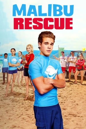 Malibu Rescue (2019) Dual Audio | Dubbed Hindi Movie HDRip [1.4GB]