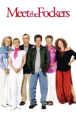 Meet the Fockers (2004) Dual Audio | Dubbed Hindi Movie BluRay [1.1GB]