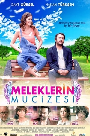 Meleklerin mucizesi (2014) Dual Audio | Dubbed Hindi Movie Web-DL 280MB