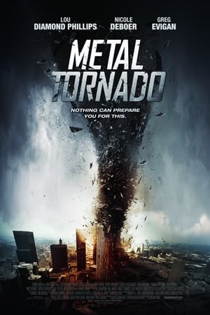 Metal Tornado 2011 Dual Audio | Dubbed Hindi Movie BluRay [1GB]