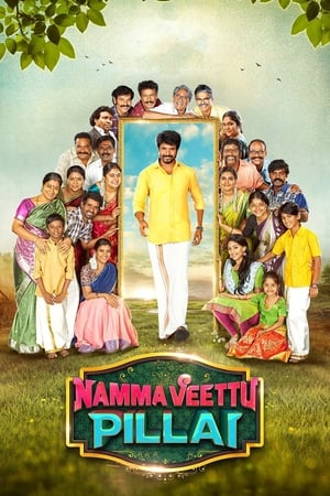 Namma Veettu Pillai (2019) ( – Tamil) Dual Audio | Dubbed Hindi Movie UnCut HDRip 450MB