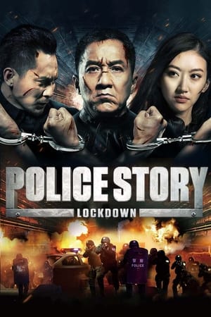 Police Story: Lockdown (2013) Dual Audio | Dubbed Hindi Movie BluRay 380MB