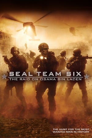 Seal Team Six: The Raid on Osama Bin Laden (2012) Dual Audio | Dubbed Hindi Movie BluRay 300MB