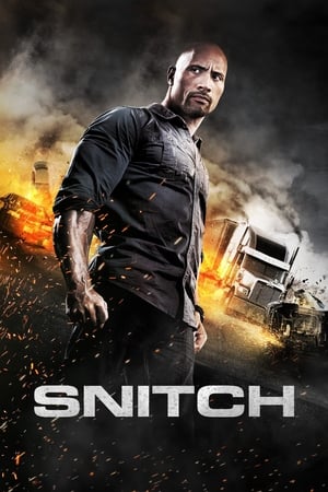 Snitch (2013) Dual Audio | Dubbed Hindi Movie BluRay 350MB
