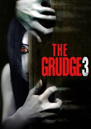 The Grudge 3 2009 Dual Audio | Dubbed Hindi Movie Web-DL [890MB]