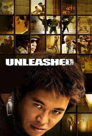 Unleashed (2005) Dual Audio | Dubbed Hindi Movie BluRay 360MB