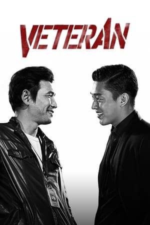 Veteran 2015 Dual Audio HDRip | Dubbed Hindi Movie – 720p – 480p
