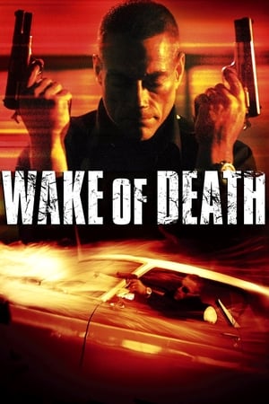 Wake of Death 2004 Dual Audio | Dubbed Hindi Movie BluRay [1GB]